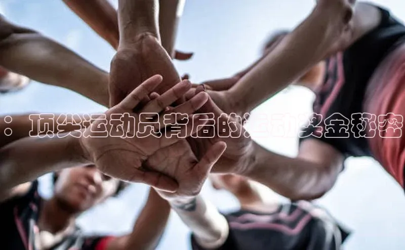 意昂官网入口